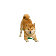 016