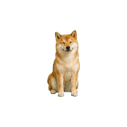 018