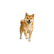 019