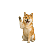 020