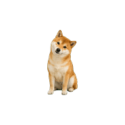 024