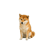 025