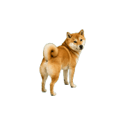 034