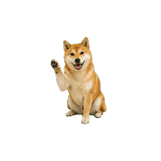 040