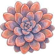 004