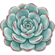 009