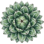 019