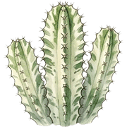 040
