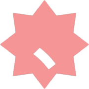 256
