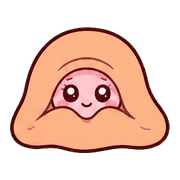 009