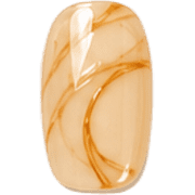 031