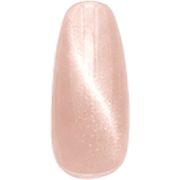 019