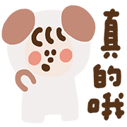 019