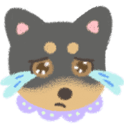 009