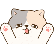 020