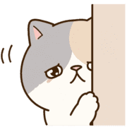025