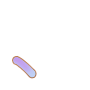 256