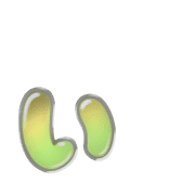 048