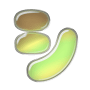 092