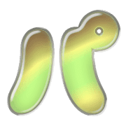 156