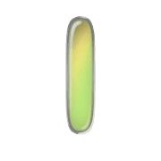 242