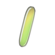 247