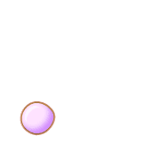 246