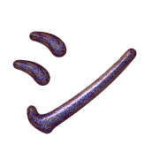 092