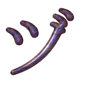 148