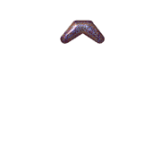 231
