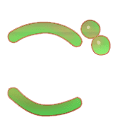 060