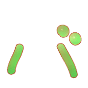 151