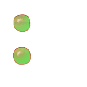 244