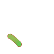 256