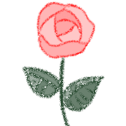 006