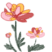 036