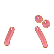 151