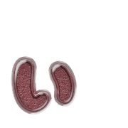 048