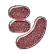 092
