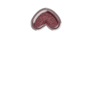 231