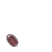 256