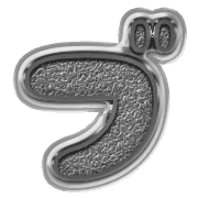 153
