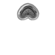 231