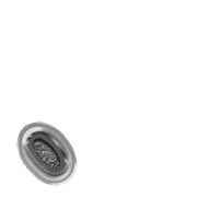 256