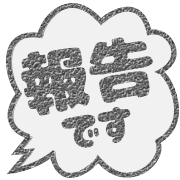 295