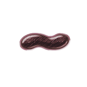 224