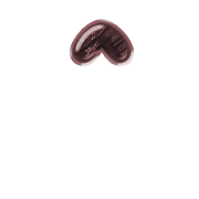 231