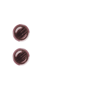 244