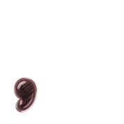 245