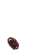 256